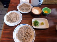 如月　きさらぎ　出石　そば　皿そば　蕎麦　兵庫県　豊岡市