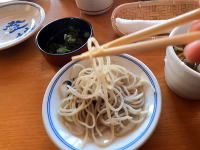 出石　皿そば　蕎麦　登城　としろ　兵庫県　豊岡市